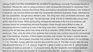 Literacy PUNCTUATING NONESSENTIAL ELEMENTS Identifying a Correctly Punctuated Sentence Directions: R