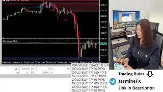 Live trading XAUUSD GOLD 23/02/2026