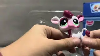 Lps miniş a&ccedil;alımm.Bende kart &ccedil;ıkmadı ama diğer minişimde &ccedil;ıktı sebebini bilen varmı?