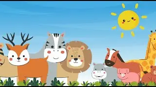 🐾🦒 Let&rsquo;s Explore Animal Activities! 🐘🐞🦜Wildlife For Kids!🐯🐻 Fun Learning! 🦧🦝🐶  Educational Video!🦀🐢🦉