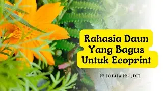 Rahasia Jenis Daun Yang Bagus Untuk Ecoprint