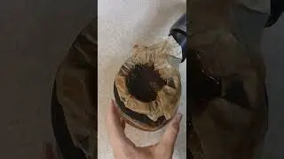Vacuum Filter