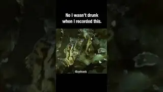 True Facts about the Frogfish (short)