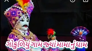 ગોકુળિયું ગામ જ્યાં મામા ધામ | મામા સાહેબ ની હવેલી અમરોલી | આજના દર્શન |એક નવા અંદાજ માં મામાનું ગીત