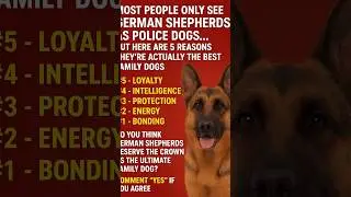 Top 5 Reasons Why German Shepherds Are the BEST Family Dogs 🐾💯
