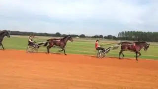 Erv Miller Stable