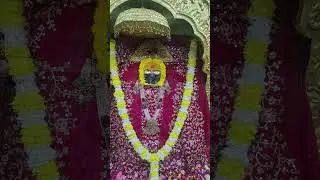 jai Mata nayna devi 18/janbari 2026