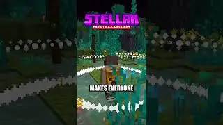 We added magic spell books to Minecraft! #stellarsmp #smp