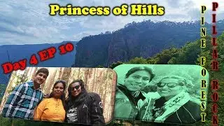 Kodaikanal places to visit | Pine Tree Forest | Pillar Rock View Point | Bryant Park | First of WE