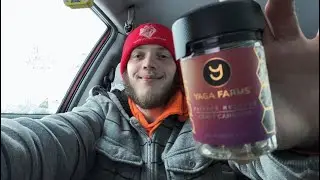 Best Flower JK got!? Yaga Farms Pink Cookies Snowy hotbox review sesh!