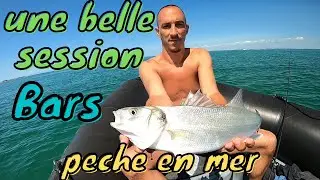 bar mer 2021 peche