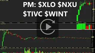 $XLO $NXU $TIVC $WINT PM Top Stocks Replay & Review
