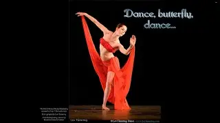 DANCE, BUTTERFLY, DANCE - Poem & video by S&atilde;o Ludovino - Photography by Lev Tsimring