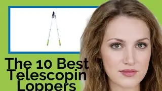 👉 The 10 Best Telescoping Loppers 2020  (Review Guide)