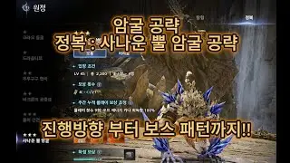 아이온2 암굴 정복 공략!! [정복 사나운 뿔 암굴 공략]