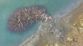Beaver House