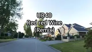 UB40 - Red red wine (Remix)