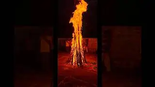 bhogi minivlog🧡🧡 #bhogi #sankranti#festival#pongalkolam pongal#sankrantimuggulu#rangoli#minivlog#yt