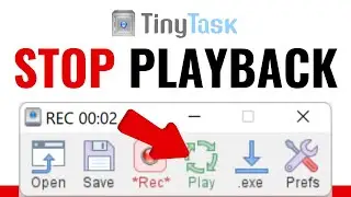 How To STOP TinyTask Playback | Full Guide (2025)