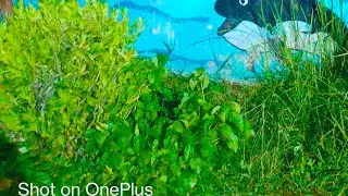 19 january welcome to my live ❤️...