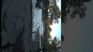 New Mexico wildlife