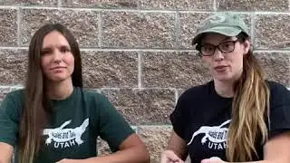 Rattlesnake vs Gopher Snake - How to Tell the Difference