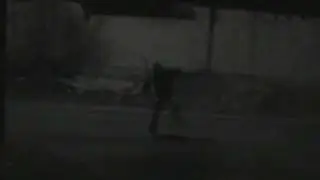 step dnb