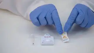 Standard Q Ultra Dot Hiv