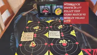 Weihrauch HW97K в матче 177 Gamo против Уэбли Велочи Пелла #airgunshooting #2025 #pelletrifle