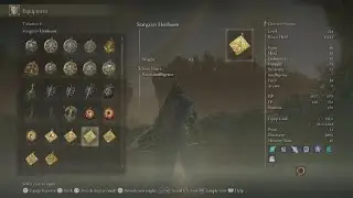 Divine Beast Dancing Lion, Ancient Ruins of Rauh (Mage build + summon) Shadow of the Erdtree NG+5