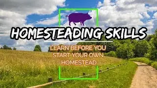 Homesteading Skills To Learn Before You Start Your Own Homestead Farm - Homestead Farming
