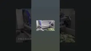 salad production line#shorts#salad#food machinery