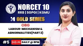 NORCET 10 Preparation | Labour Mechanism & Abnormalities (Part 2)  💛GOLD Series | Vaishally Mam