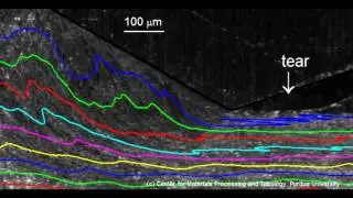 Wear particle formation in metals