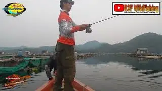 Mancing Toman waduk Jatiluhur | CAPUNG 632 17LBS RELIXNUSANTARA