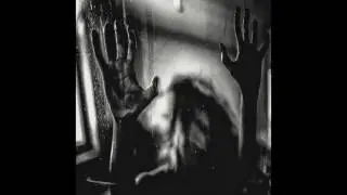 Behind the Shadow Drops - Positive Shadow, Negative Light
