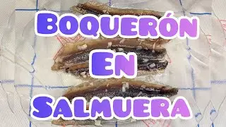 𝔹𝕠𝕢𝕦𝕖𝕣𝕠́𝕟 𝕤𝕒𝕝𝕞𝕦𝕖𝕣𝕒 #boquerónsalmuera #anchoa #boquerón #盐水凤尾鱼 #anchoviesinbrine #sardelleninsalzlake