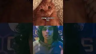 Orange Cats Explained  #facts