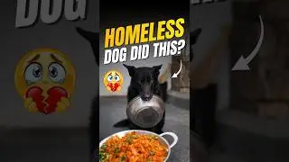 പാവം തെരുവുനായയോട് വളർത്ത് നായ ചെയ്തത് 🥹 this dog did this to poor homeless #tamil #viral #trend