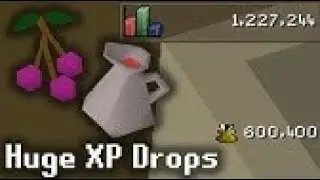 osrs cooking 99 fast level urdu  guide