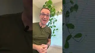 Пожелтение листьев из-за потоса #комнатныерастения #комнатныерастения #уходзарастениями