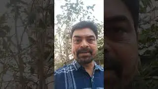 live stream learning English.. tips