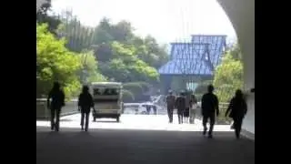 美の探求　MIHOMUSEUM (滋賀県信楽町桃谷)
