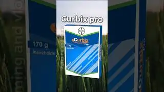 🔥Curbix pro🔥 Bayer |New 2023 Insecticide|#shorts #shortsfeed #youtubeshorts #bayer #farmingandvlogs