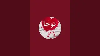 بدأت قناة 