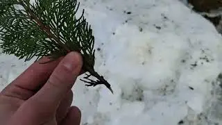 Stopil se je snega iz šotora.