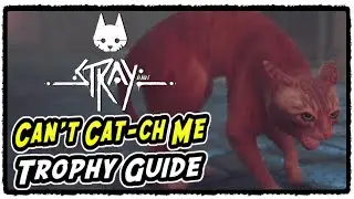 Stray Can&rsquo;t Cat-ch Me Trophy / Achievement | Complete the first Zurk pursuit without being caught