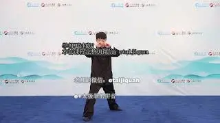 郑佳琦太极拳独门四十八式散手精细教学及实战运用53 48式散手详细分解 第四式上步双震掌 1080p