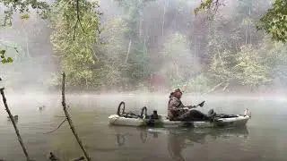 Maryland Early Season Wood Ducks