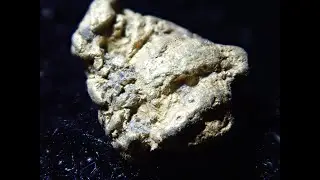 Gold digging in a Vermont stream
